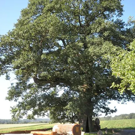 アパート Traut ヴィットリッヒ