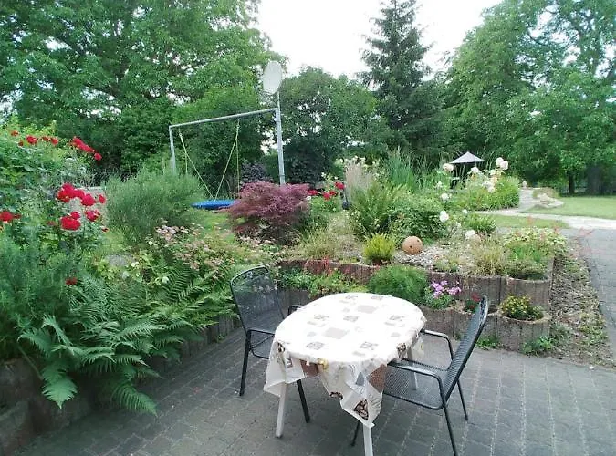 Traut * וויטליך